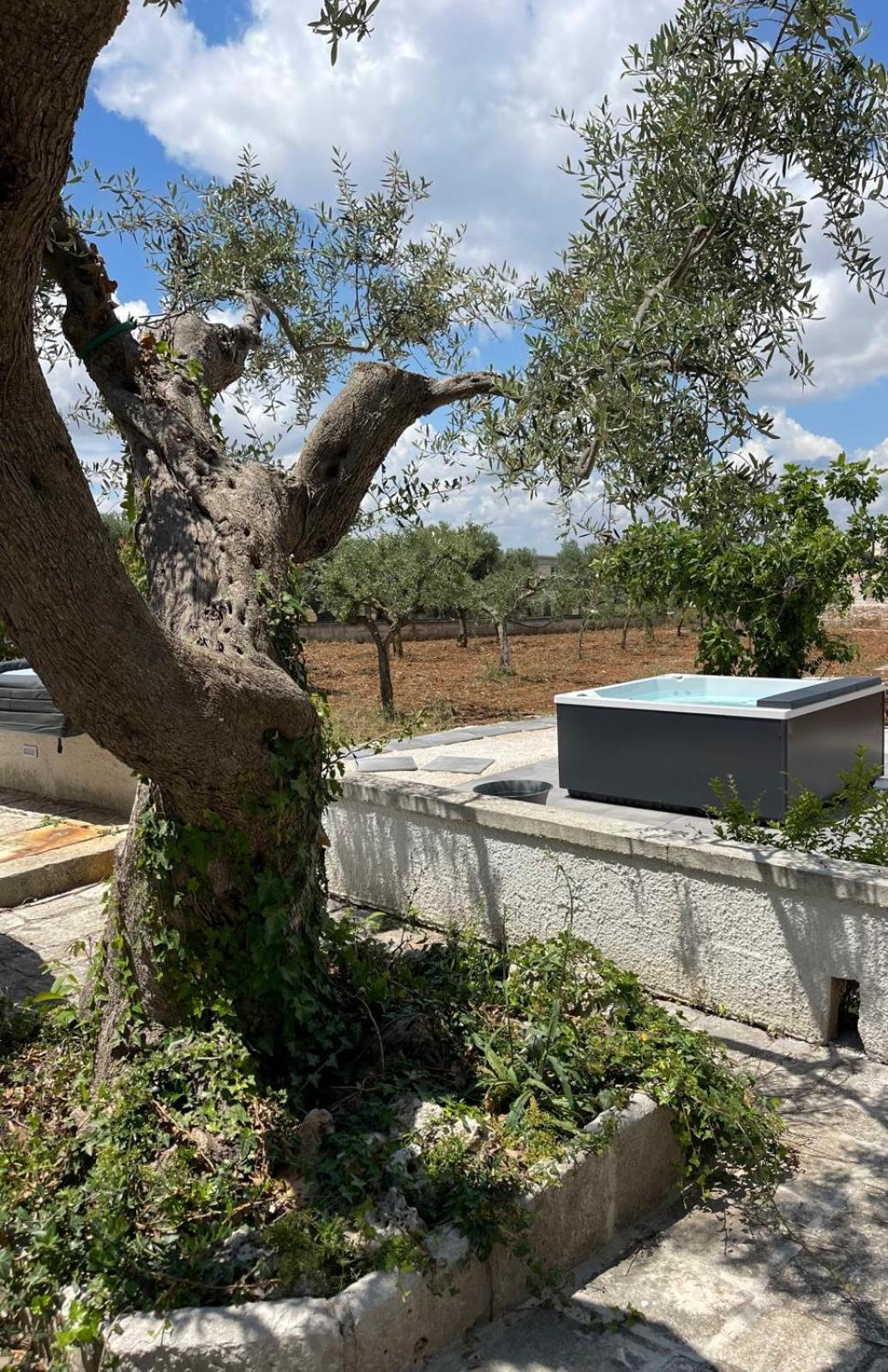Il Trullozio Διαμέρισμα Castellana Grotte Εξωτερικό φωτογραφία